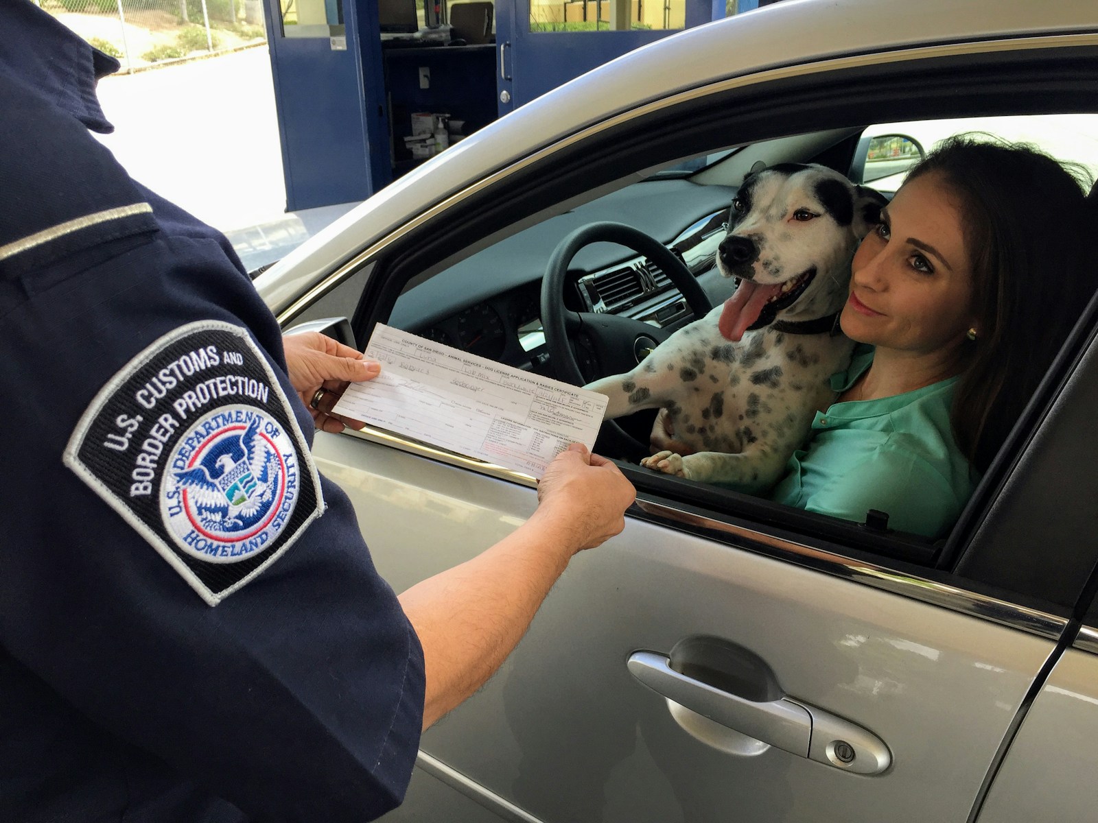 woman in green shirt holding white and black short coated dog, mexcican auto